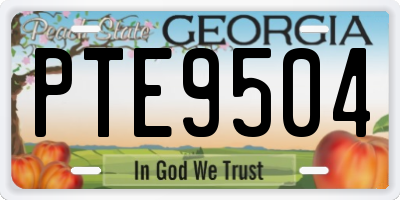 GA license plate PTE9504