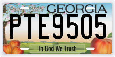 GA license plate PTE9505