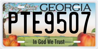 GA license plate PTE9507