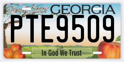 GA license plate PTE9509