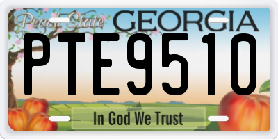 GA license plate PTE9510