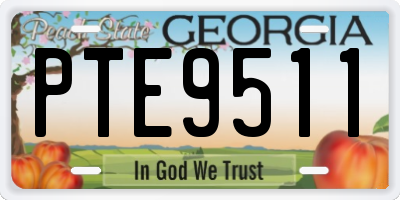 GA license plate PTE9511