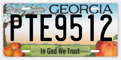 GA license plate PTE9512