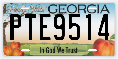 GA license plate PTE9514