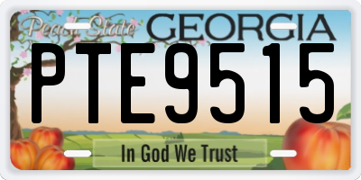 GA license plate PTE9515
