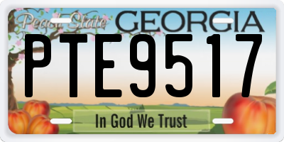 GA license plate PTE9517