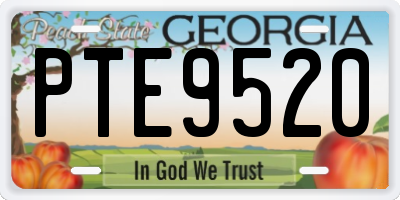 GA license plate PTE9520