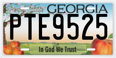 GA license plate PTE9525