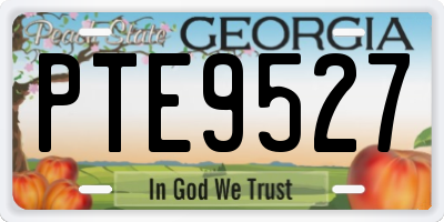 GA license plate PTE9527