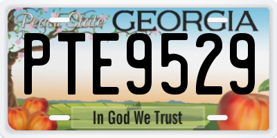 GA license plate PTE9529
