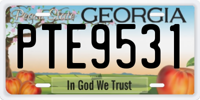 GA license plate PTE9531