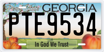 GA license plate PTE9534
