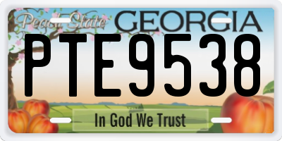 GA license plate PTE9538