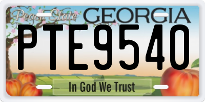 GA license plate PTE9540