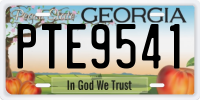 GA license plate PTE9541