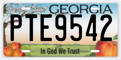 GA license plate PTE9542