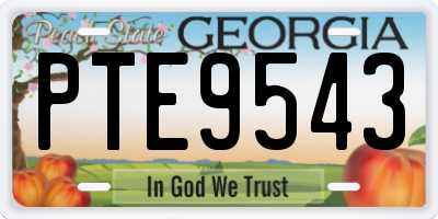 GA license plate PTE9543