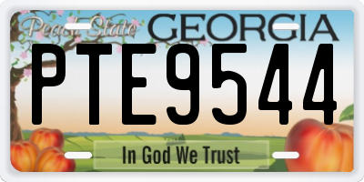 GA license plate PTE9544