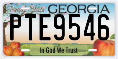 GA license plate PTE9546