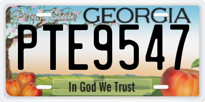 GA license plate PTE9547