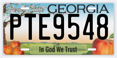 GA license plate PTE9548