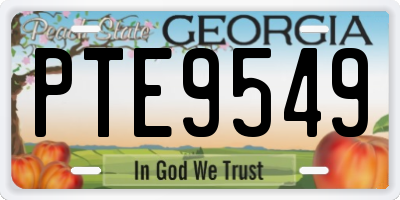 GA license plate PTE9549