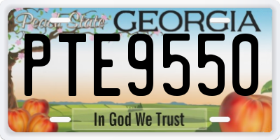 GA license plate PTE9550