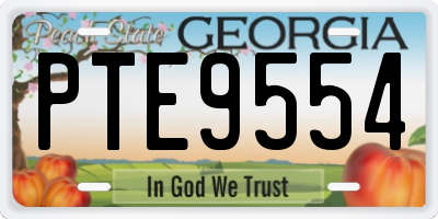 GA license plate PTE9554