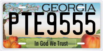 GA license plate PTE9555