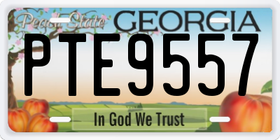 GA license plate PTE9557