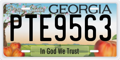 GA license plate PTE9563