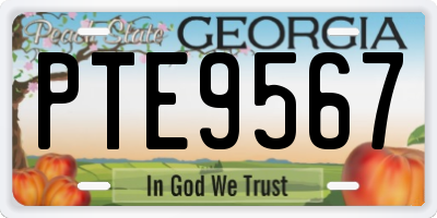 GA license plate PTE9567