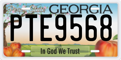 GA license plate PTE9568