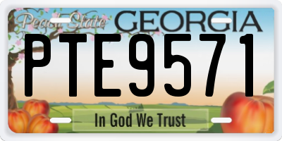 GA license plate PTE9571