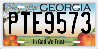 GA license plate PTE9573