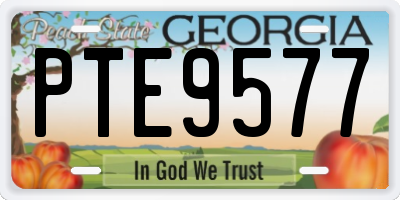 GA license plate PTE9577