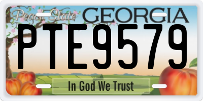 GA license plate PTE9579