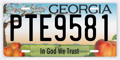 GA license plate PTE9581