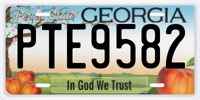 GA license plate PTE9582