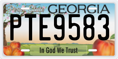 GA license plate PTE9583