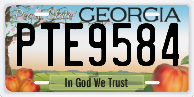 GA license plate PTE9584