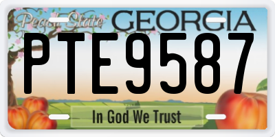 GA license plate PTE9587