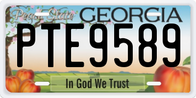 GA license plate PTE9589