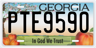 GA license plate PTE9590