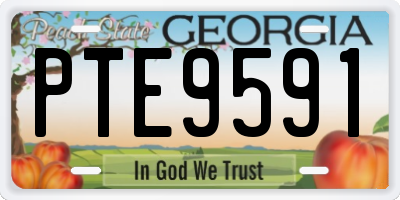 GA license plate PTE9591