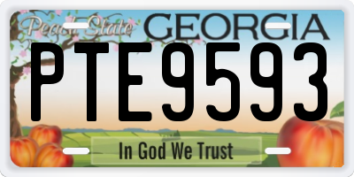 GA license plate PTE9593