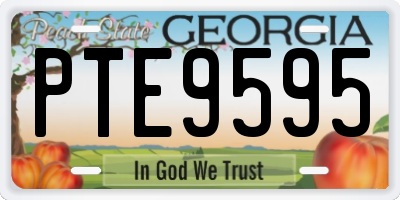 GA license plate PTE9595