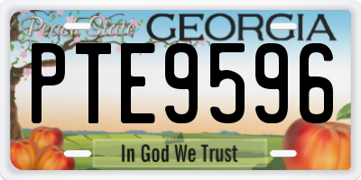 GA license plate PTE9596