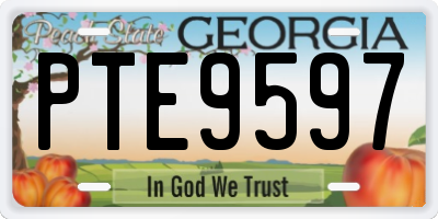 GA license plate PTE9597