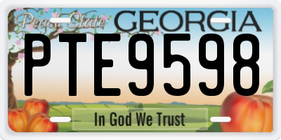 GA license plate PTE9598